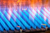 Erbusaig gas fired boilers